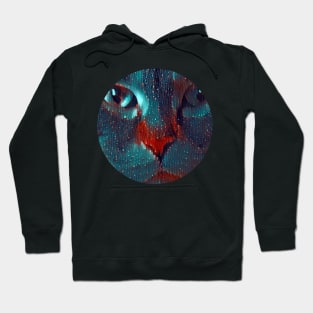 Dominant mycat, revolution for cats Hoodie